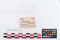 Etikett zu Eisenmesser (NHMW-PRAE-003417)
